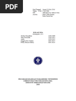 Download Laporan Praktikum Biokimia  Isolasi DNA  by Dwiky Ramadhan SN341958472 doc pdf