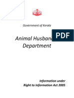 Department of Animal Husbandry