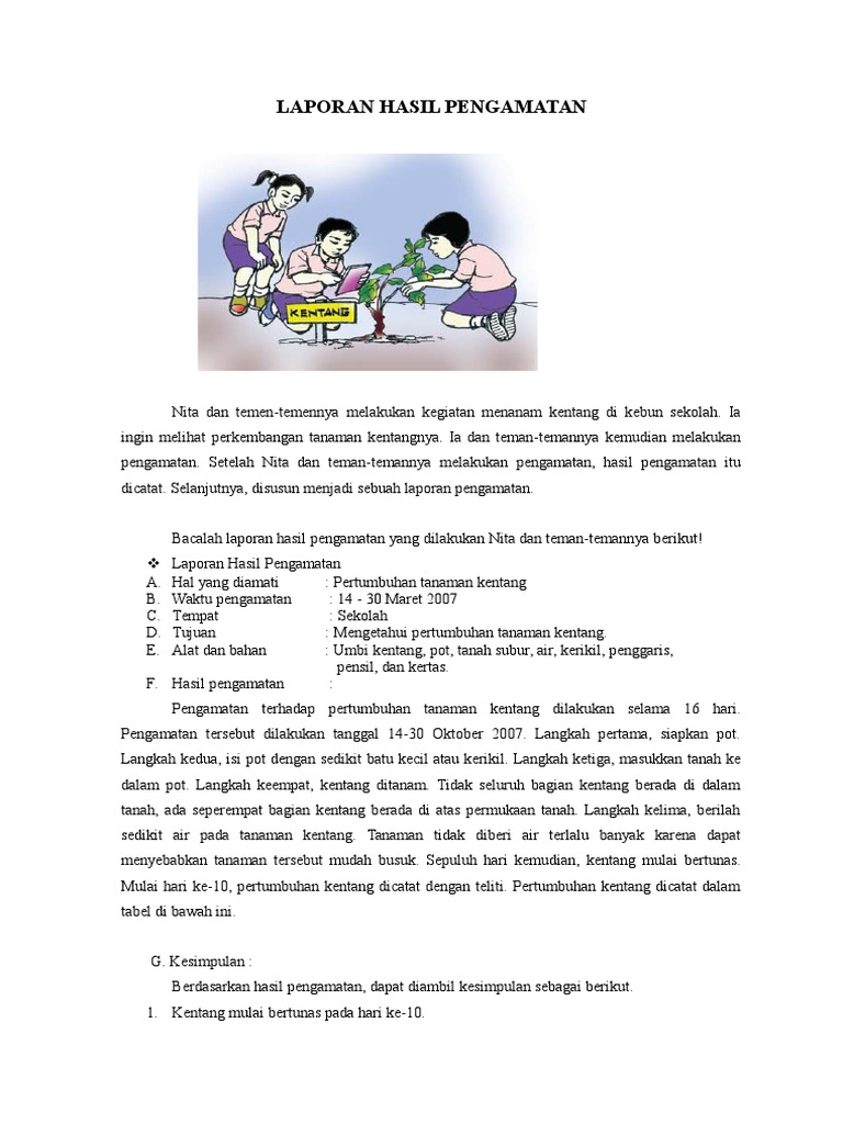 Contoh Laporan Hasil Pengamatan Kelas 6 Brainly Nusagates