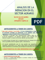 Analisis de La Remuneracion en El Sector Agrario