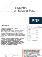  Biokimia Pada Mata