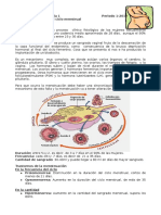 Fisiologia Del Ciclo Menstrual