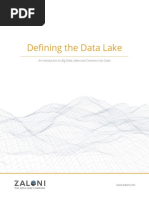 Defining the Data Lake White Paper