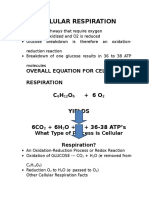 Cellular Respiration Jerald Vicerra