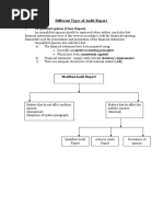 Copy of Different Types of Audit Report