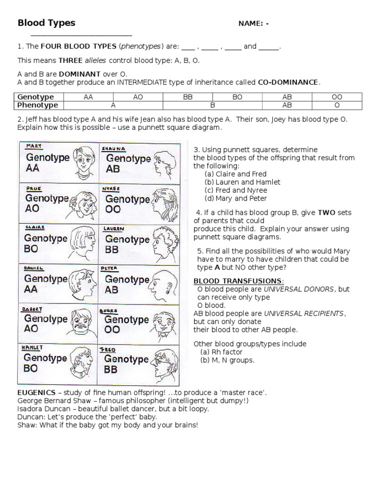 human-blood-type-worksheet