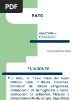bazo