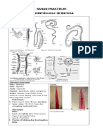 Parasitologi C - Helmintologi