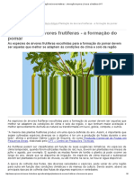 Plantação de Árvores Frutíferas - A Formação Do Pomar _ Cursos a Distância CPT