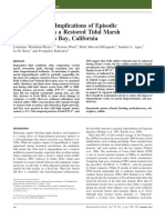 2011 Implications of Episodic Impoundment in Tidal Marsh