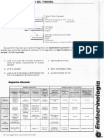 ENDOCRINO.pdf