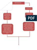 Mapa Conceptual de Las Rutas Metabolicas PDF