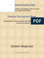 Sistem Respirasi