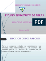 Estudio Biometrico de Fibras