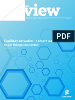 er-capillary-networks.pdf