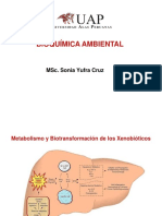 4 1 BQMA Metabolismo y Biotransformacion de Xenobioticos PDF