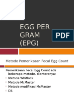 Egg Per Gram