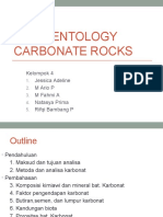 Sedimentology Carbonate Rocks