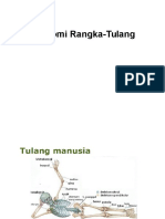 Anatomi Tulang