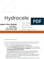 CSS - Hydrocele