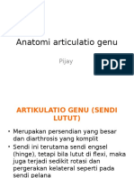 Anatomi Articulatio Genu