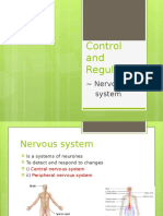 186238850-Nervous-System.pptx