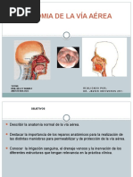 SEMINARIO DE ANATOMIA DE LA VIA AEREA.pptx