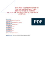 Esquema Básico para La Elaboración de Un Proyecto de Inversión Privado