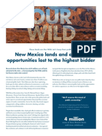Report - New Mexico Lands and Outdoor Opportunities Lost To The Highest Bidder