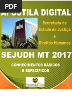 APOSTILA SEJUDH MT 2017 ASSISTENTE SOCIAL + BRINDES