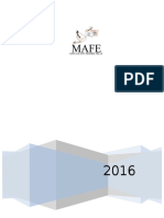 Informe de Rendición de Cuentas MAFE 2016