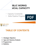 Public Works Technical Capacity: - Capacity Constraints - Skills Pipeline Programmes