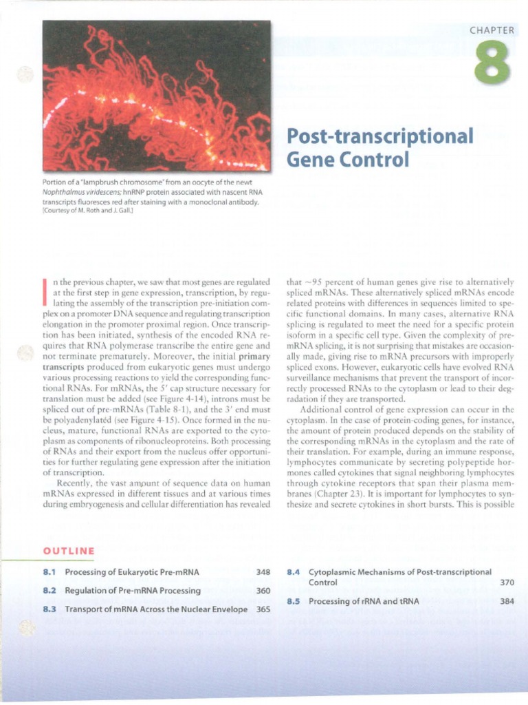Chapter 8 Lodish | PDF | Messenger Rna | Rna Splicing