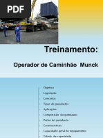 Treinamentodemunck L&M