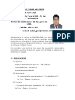 Curriculum Vitae Gian Marco Cubas Vasquez