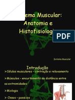23006053-Anatomia-e-Histofisiologia-Muscular.pdf