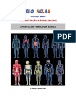 Histologia.pdf