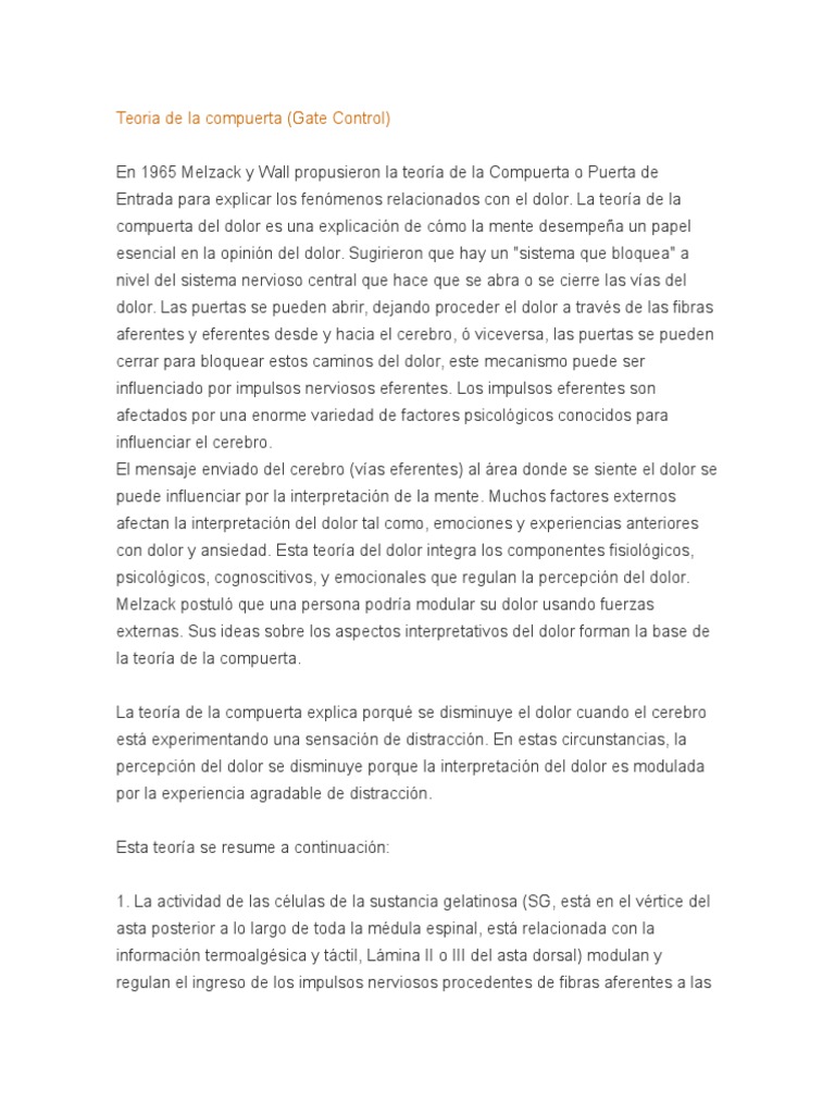 Teoria de La Compuerta Del Dolor PDF Dolor Médula espinal