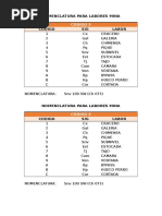 Nomenclatura Labores Mina