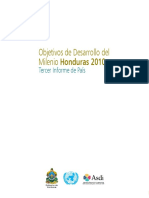 Informe ODM 2010 Completo