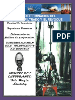 Determinacindelfiltradoparapresemtarrrr 130725193825 Phpapp02 PDF