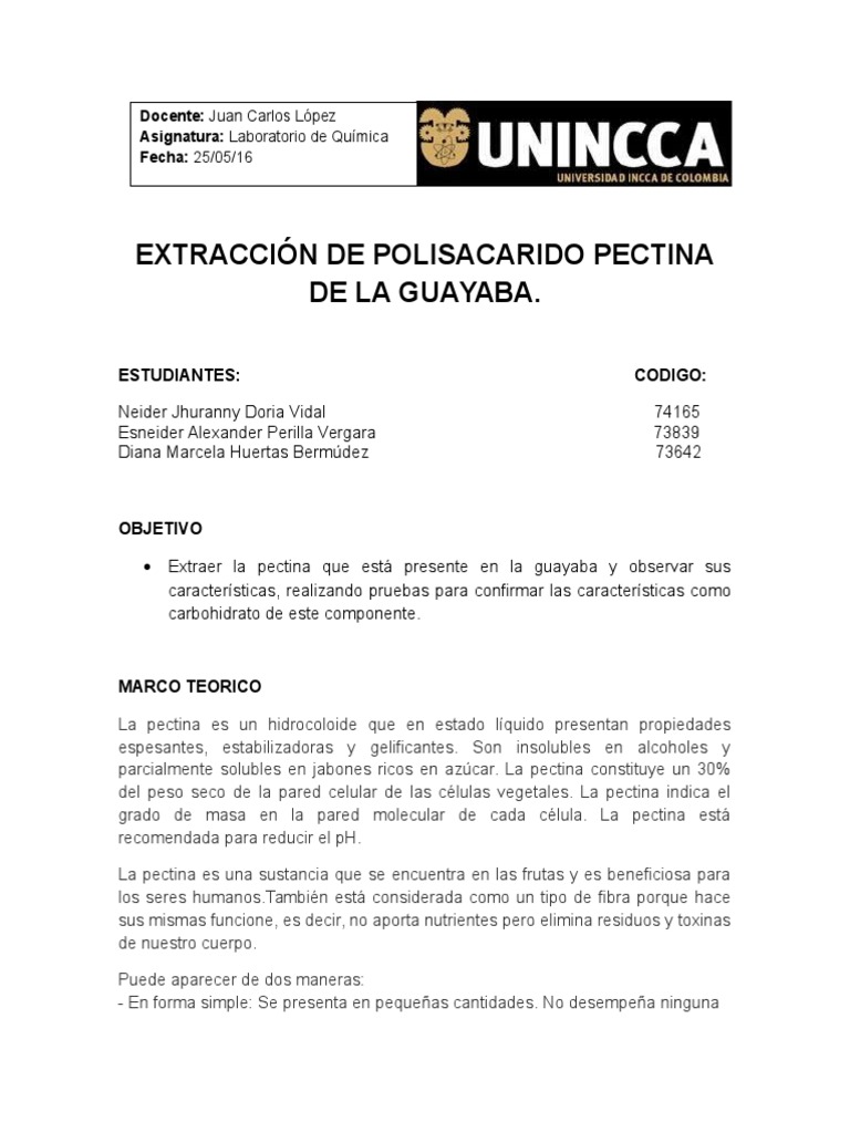 Extraccion de Pectina en Guayaba Quimica Organica PDF Carbohidratos