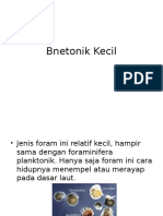 Bentonik Kecil