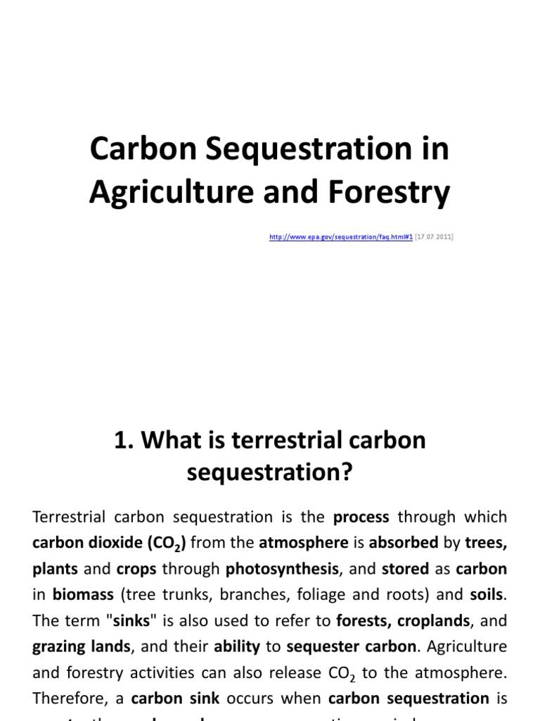 Carbon Sequestration PDF | PDF