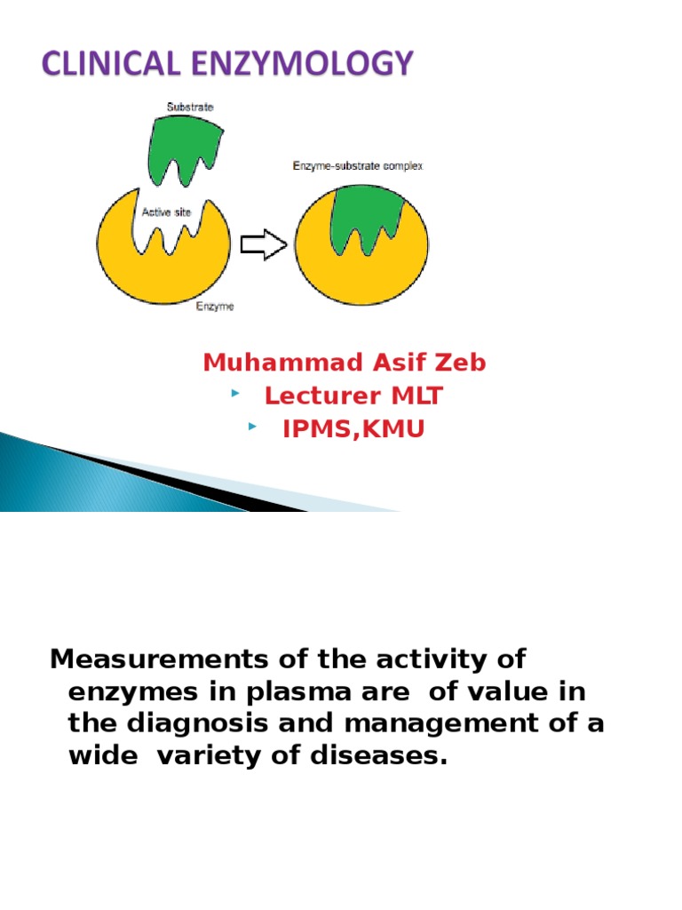 Alt And Ast By Asif Pdf Alanine Transaminase Transaminase