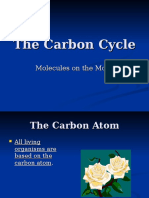 The Carbon Cycle - Power Point