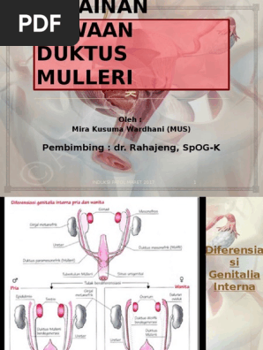 Afrika va Kubada jinsiy turizm