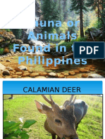 Fauna or Animals Found in The Philippines