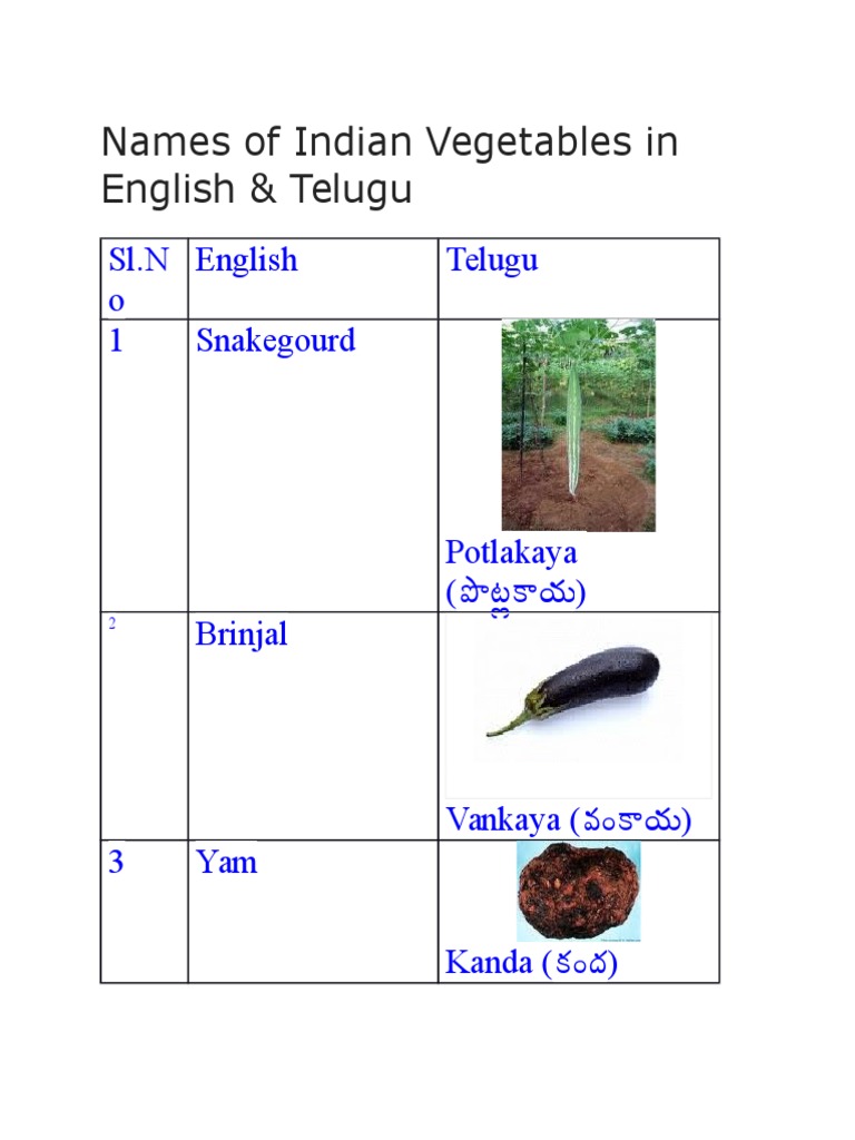 100 VEGETABLES NAME IN TELUGU AND ENGLISH WITH PICTURES PDF visual data 2