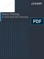 Stress Testing A View From The Trenches PDF